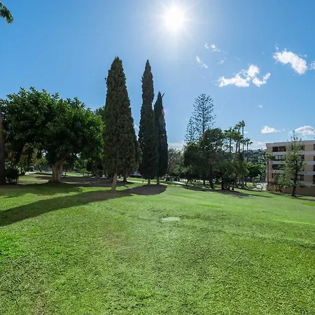 Newly Renovated Sunlit 3 Bdrm Apt With Stunning Views *